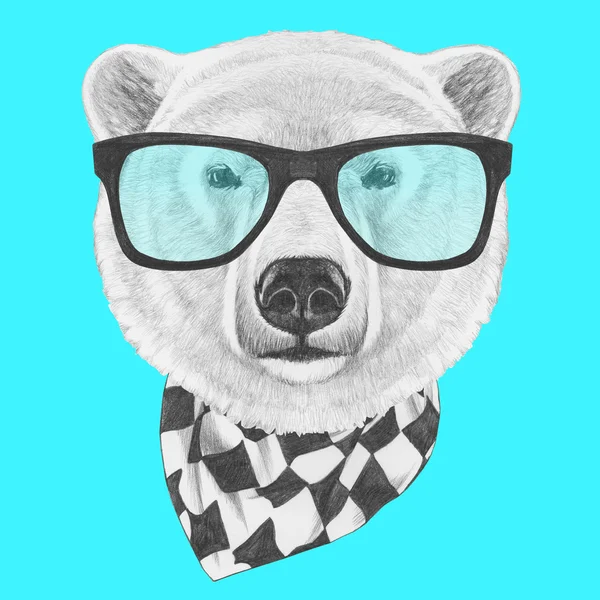 Oso Polar con gafas y bufanda . —  Fotos de Stock