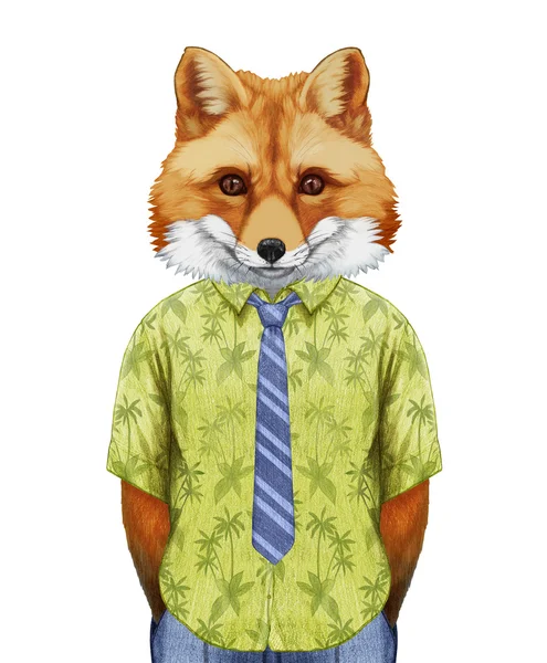 Ritratto di Fox in camicia estiva con cravatta . — Foto Stock