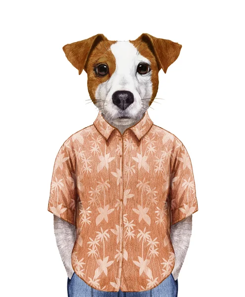 Retrato de Jack Russell en camisa de verano . —  Fotos de Stock