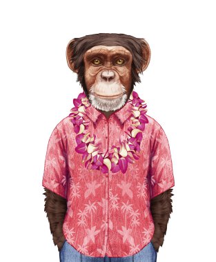 Maymun Hawaiian Lei ile yaz gömlekli.