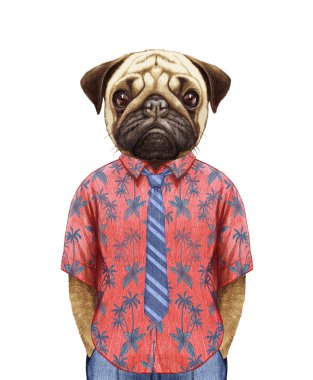 Yaz gömlek kravat pug.