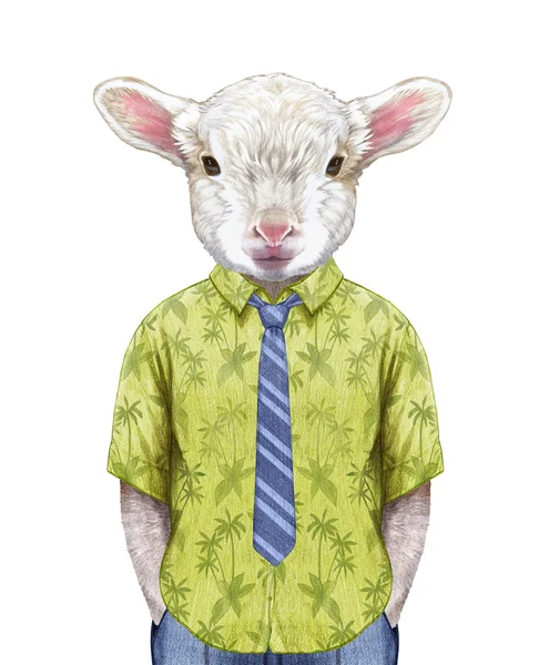 Bárány-egy nyári ing, nyakkendő. — Stock Fotó