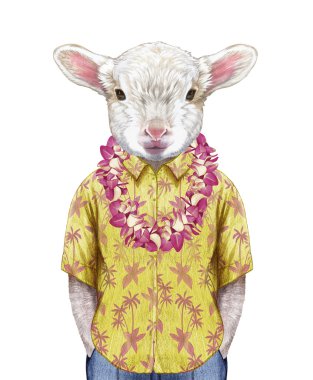 Hawaiian Lei ile bir yaz gömlekli kuzu.