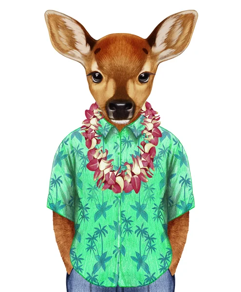 Fawn em uma camisa de verão com Lei havaiana . — Fotografia de Stock