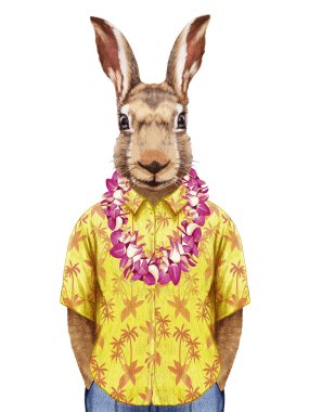 Hawaiian Lei ile yaz gömlekli hare. 