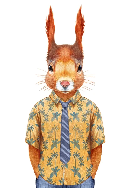 Mókus a nyári ing, nyakkendő. — Stock Fotó