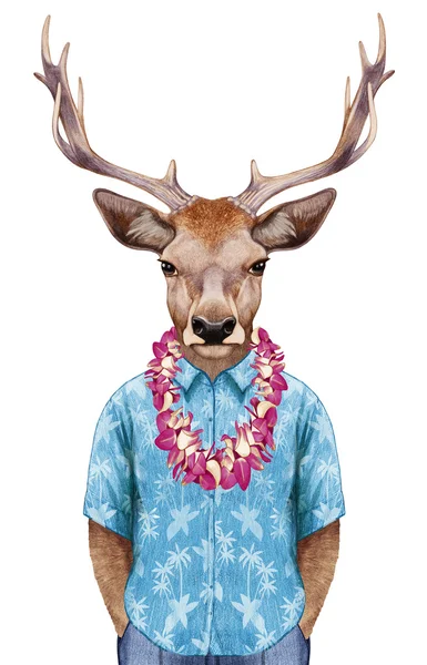 Hirsch im Sommerhemd mit hawaiianischem Lei. — Stockfoto