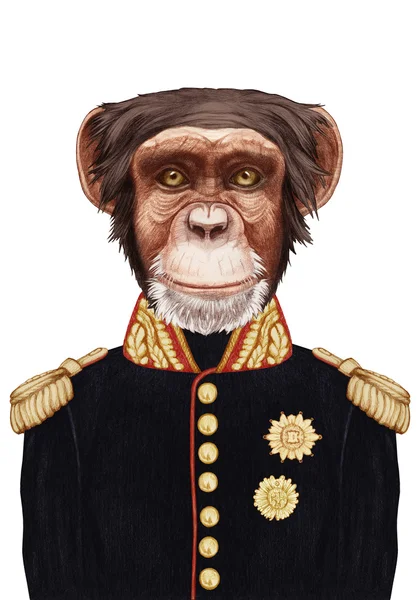 Porträt eines Affen in Militäruniform. — Stockfoto