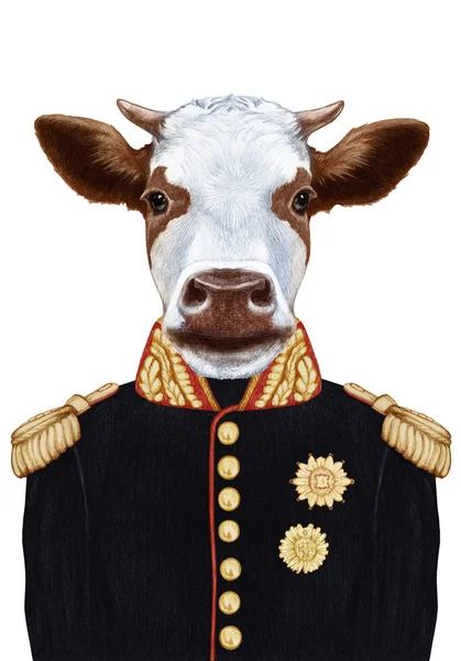 Retrato de Vaca em uniforme militar — Fotografia de Stock