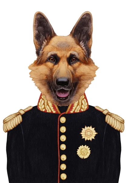 Portret Owczarek niemiecki w wojskowym mundurze. — Zdjęcie stockowe