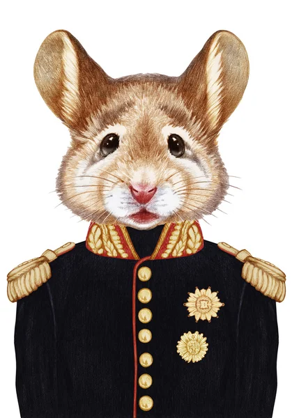 Portret van muis in militair uniform. — Stockfoto