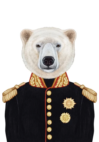 Retrato de Urso Polar em uniforme militar . — Fotografia de Stock