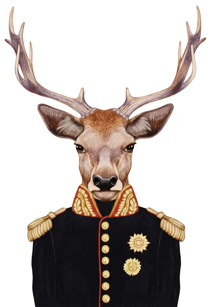 Porträt von Hirschen in Militäruniform. — Stockfoto