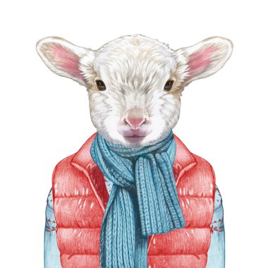 Yelek, süveter ve eşarp aşağı içinde kuzu. 