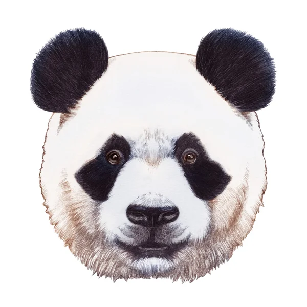 Kézzel rajzolt panda — Stock Fotó