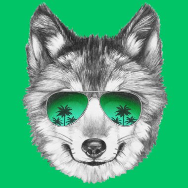 Kurt ayna güneş gözlüğü ile