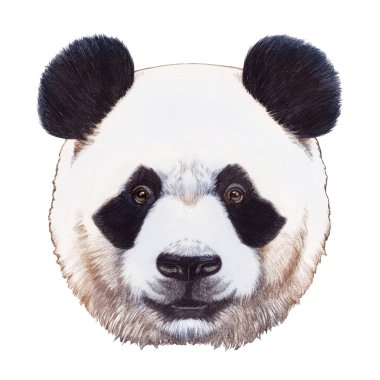 Çizilmiş panda