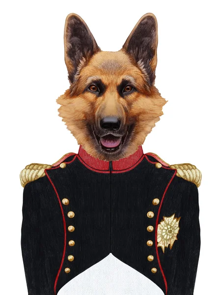 Portrét německého ovčáka ve vojenské uniformě. — Stock fotografie