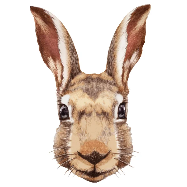 Handgetekende konijn — Stockfoto