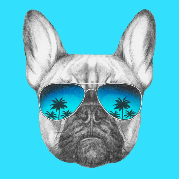 French Bulldog with mirror sunglasses. — Stock Photo, Image