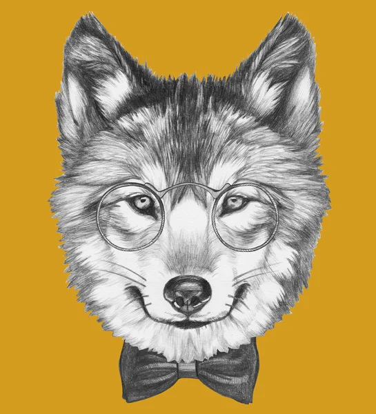 Волк в очках и галстуке — стоковое фото