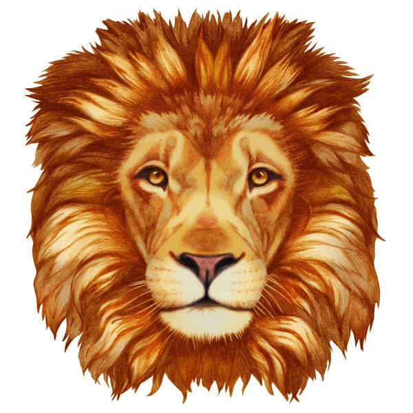 Ręcznie rysowane Lion — Zdjęcie stockowe