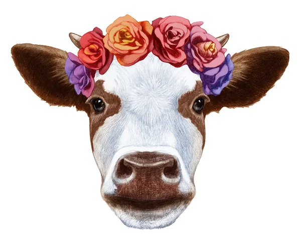 Retrato de Vaca com coroa de flores — Fotografia de Stock