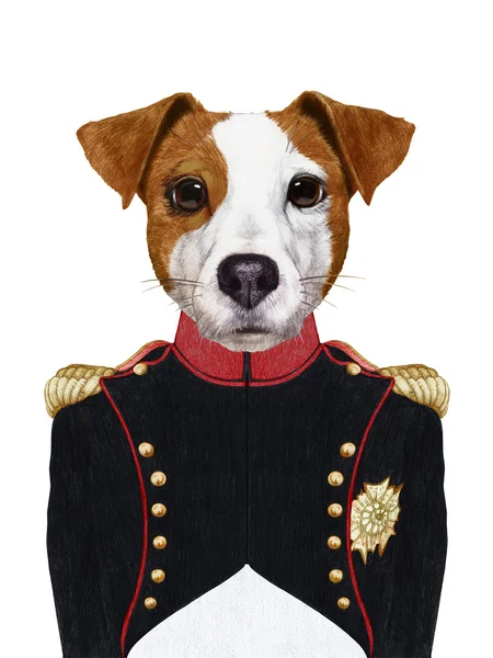 Jack Russell askeri üniformalı portresi — Stok fotoğraf