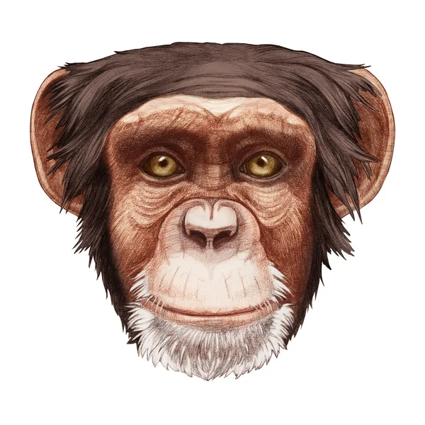 Dibujo original de Monkey — Foto de Stock