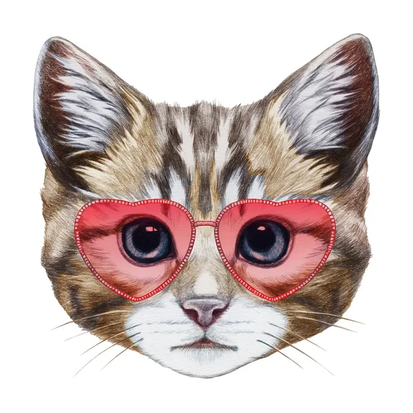 Кіт з окулярами у формі серця — стокове фото