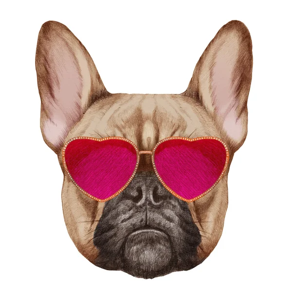Buldog francuski z okulary w kształcie serca — Zdjęcie stockowe