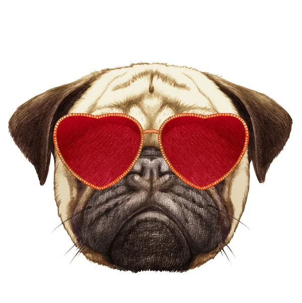 Pug Dog avec des lunettes de soleil en forme de coeur — Photo