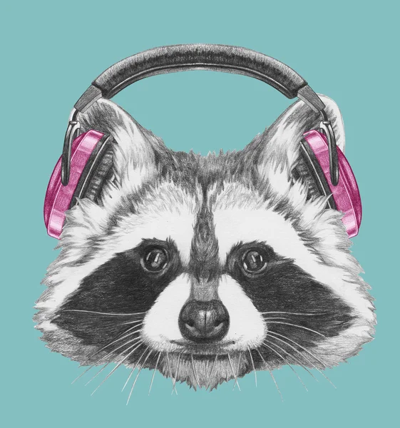 Portrait of Raccoon with headphones — Stock Photo, Image