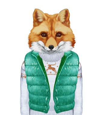  Yelek ve kazak tilki