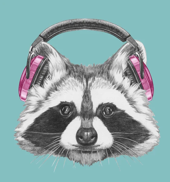 Portrait of Raccoon with headphones. — Stock Photo, Image