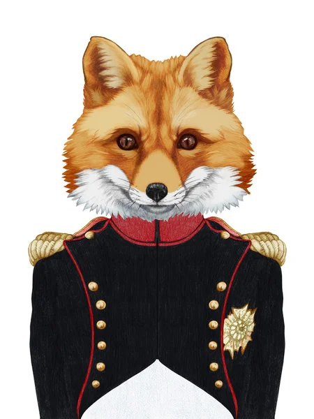 Portret Fox w wojskowym mundurze — Zdjęcie stockowe