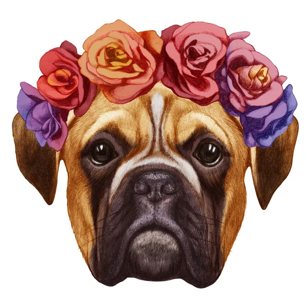 Portrait of Boxer with floral head wreath — Stock Photo, Image
