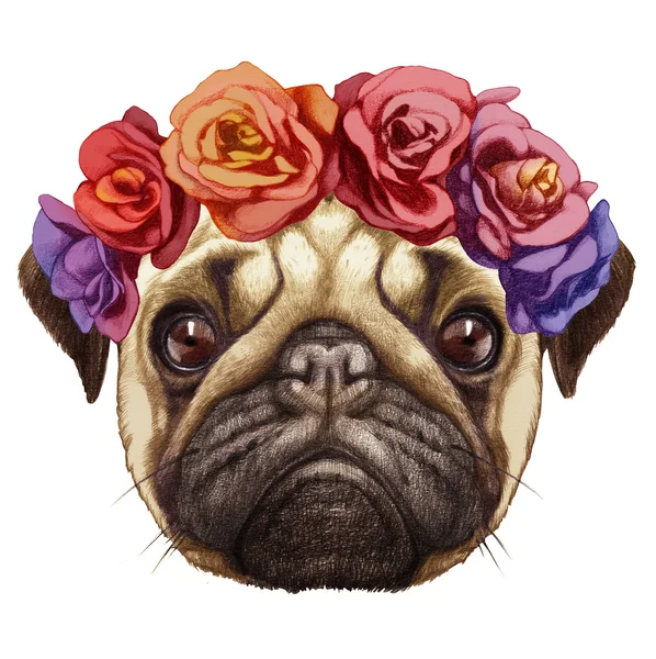 Pug köpek portre çiçek baş çelenk ile. — Stok fotoğraf