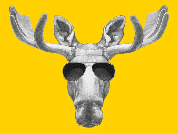 Porträt eines Elchs mit Sonnenbrille. — Stockfoto