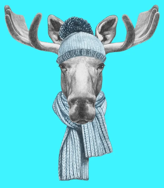 Portret jelenia z kapelusz i szalik — Zdjęcie stockowe