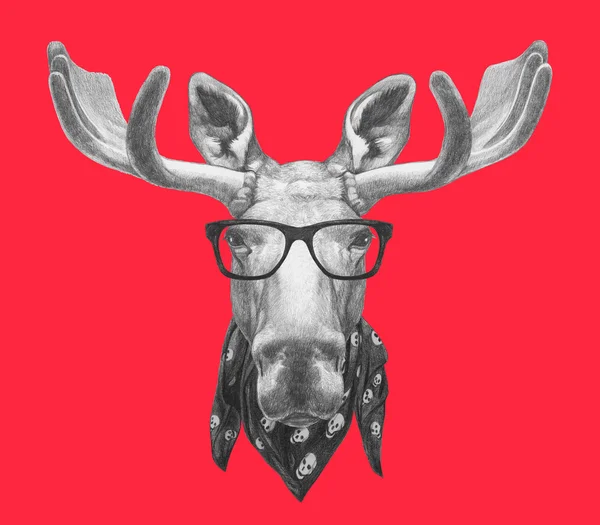 Moose portresi ile gözlük ve eşarp — Stok fotoğraf