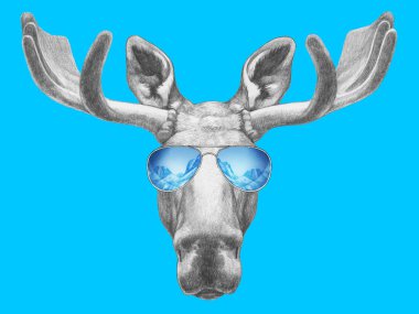 Moose portresi ayna güneş gözlüğü ile.