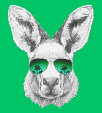 Kanguru portresi ayna güneş gözlüğü ile