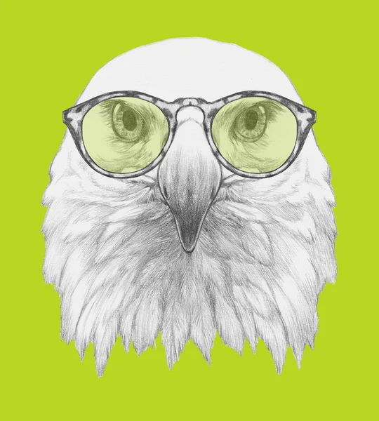 Porträtt av Eagle med glasögon. — Stockfoto