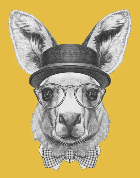 Kanguru portresi şapka ile — Stok fotoğraf