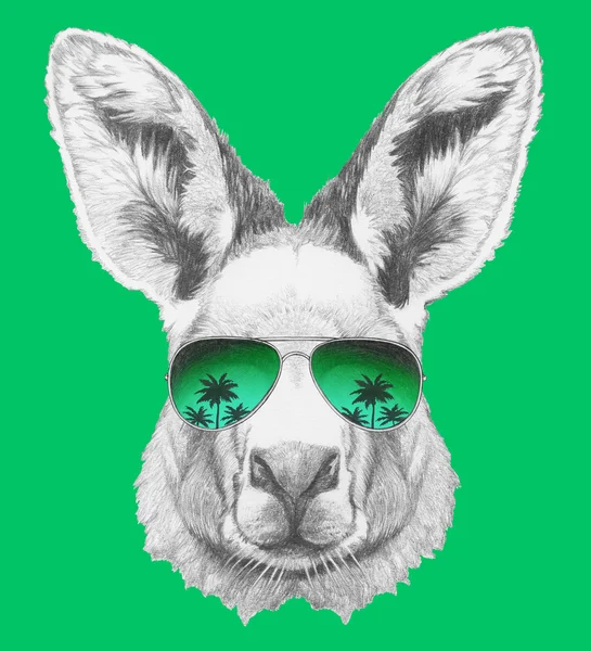 Kanguru portresi ayna güneş gözlüğü ile