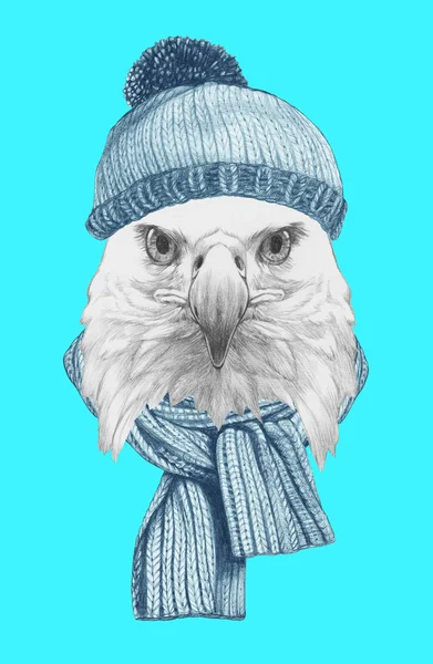 Adler mit Mütze und Schal. — Stockfoto