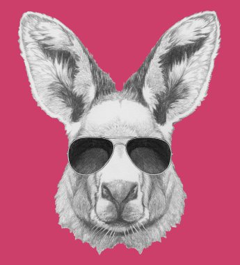 Kanguru portresi ile güneş gözlüğü