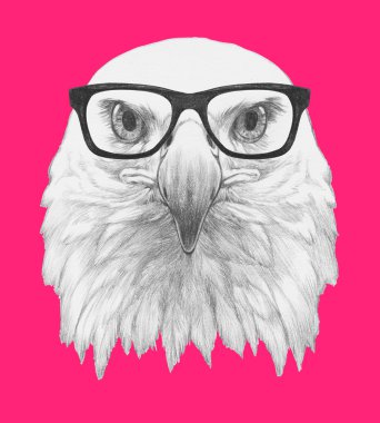 Eagle portresi ile güneş gözlüğü. 