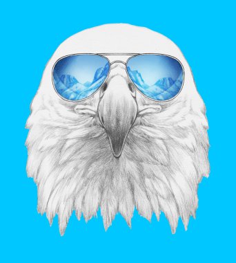 Eagle portresi ile güneş gözlüğü. 